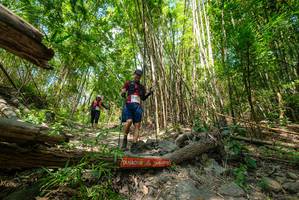 BIB: 
                            <button type="button" onclick="openModal(19394315)" class="btn btn-primary btn-sm float-right btn-popup" data-toggle="modal" data-target=".modal-high-quality">
                        <i class="fas fa-shopping-cart"></i> Add to Cart
                    </button>
                                            <button type="button" onclick="isThisMe(19394315, true)" class="btn btn-success btn-sm float-right btn-popup btn-isme hidden" data-toggle="tooltip" data-placement="bottom" title="นี่คือรูปของคุณใช่ไหม คลิกที่นี่เพื่อเอาเข้าอัลบั้ม">
                        <i class="fas fa-plus"></i> Add to album
                    </button>
                    <button type="button" onclick="isThisMe(19394315, false)" class="btn btn-warning btn-sm float-right btn-popup btn-isnotme hidden">
                        <i class="fas fa-ban"></i> Remove from album
                    </button>